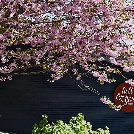 فندق إيدفجورد فجيل&فجورد