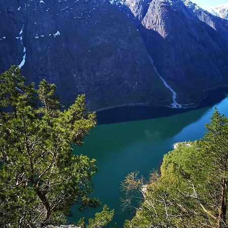 Eidfjord Hotel איידפיורד